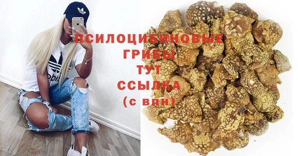 амф Верея