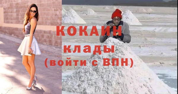 дмт Лиски