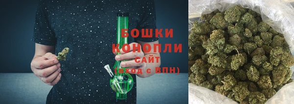 сатива Богданович